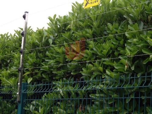 1545635096909203.jpg u=2971521103,3141862767&fm=26&gp=0.jpg