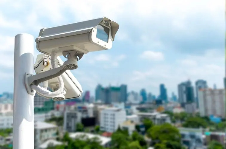 1662109394210419.jpg 00.jpg