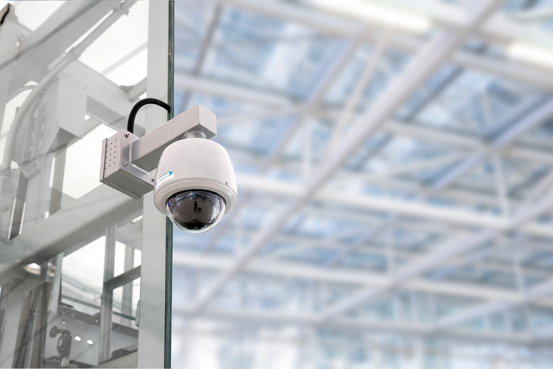 1735808782708784.jpeg 348d15c7f857e8ece5171adb533792c6.jpeg